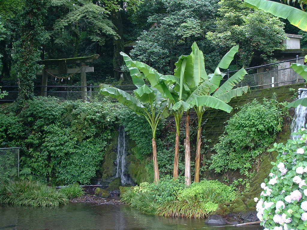 潮井（しおい）水源